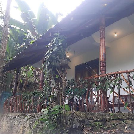 Dulmini Homestay Ella Buitenkant foto